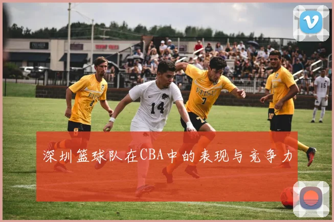 深圳篮球队在CBA中的表现与竞争力