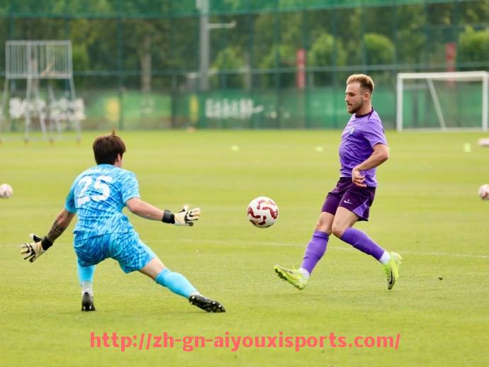 爱游戏体育官网-法甲里昂本赛季的助攻次数及关键球员数据