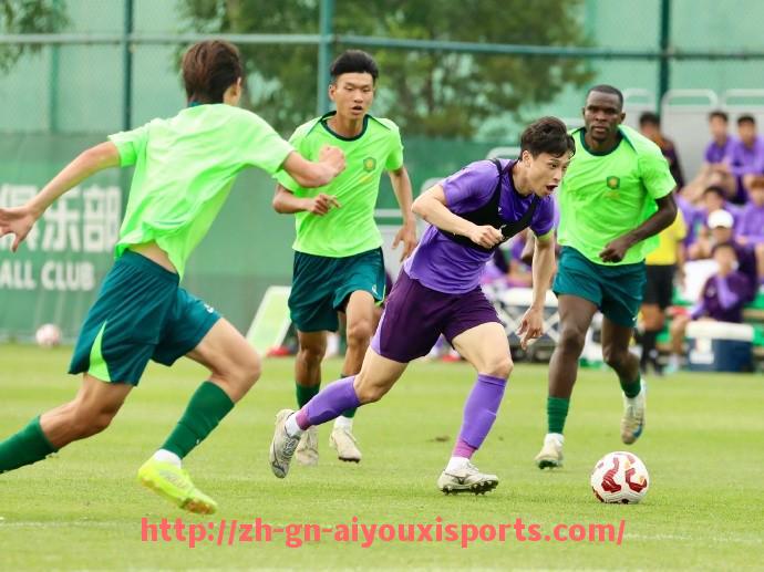 爱游戏体育官网-2025年世俱杯阿尔纳斯尔球员分析及阵容深度解读