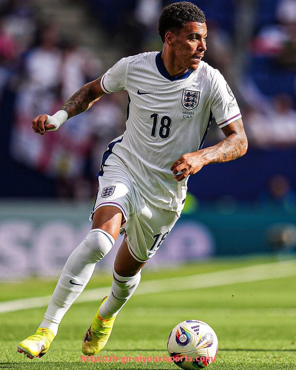 爱游戏体育官网-世俱杯新星成长故事集锦：他们是未来的希望